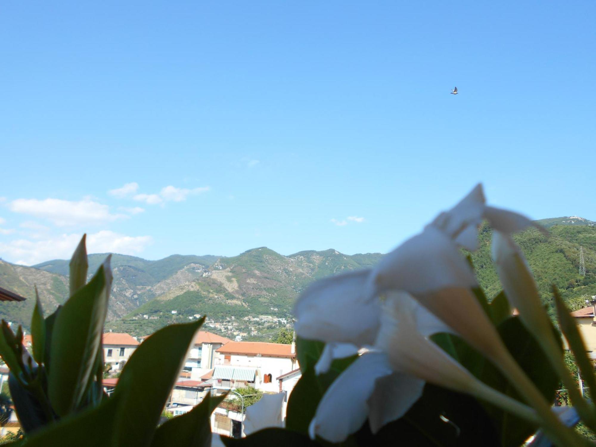 Appartamento Mare E Monti Pimonte Buitenkant foto